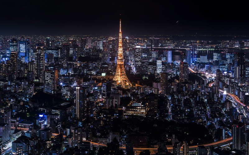 Вид на город ночью с высокой башней (токио, tokyo, городской пейзаж, город, метрополия)