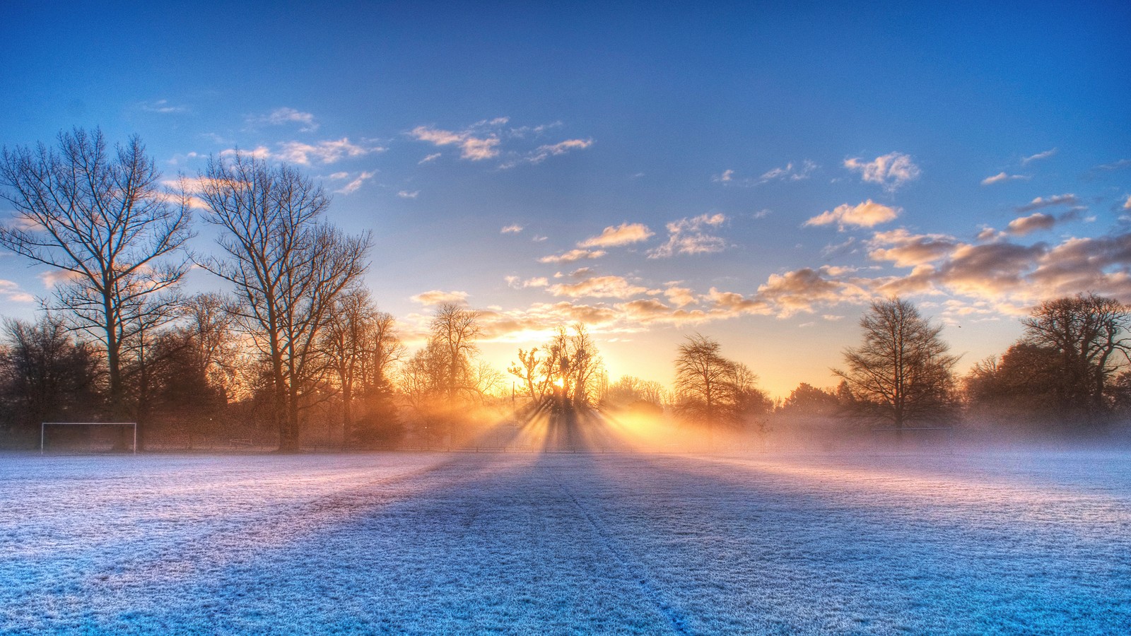 A snow covered field with trees and a sun setting in the background (winter, nature, morning, cloud, freezing)