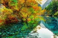 Reflets d'automne dans le parc national de Jiuzhaigou : Un lac serein entouré d'un feuillage vibrant