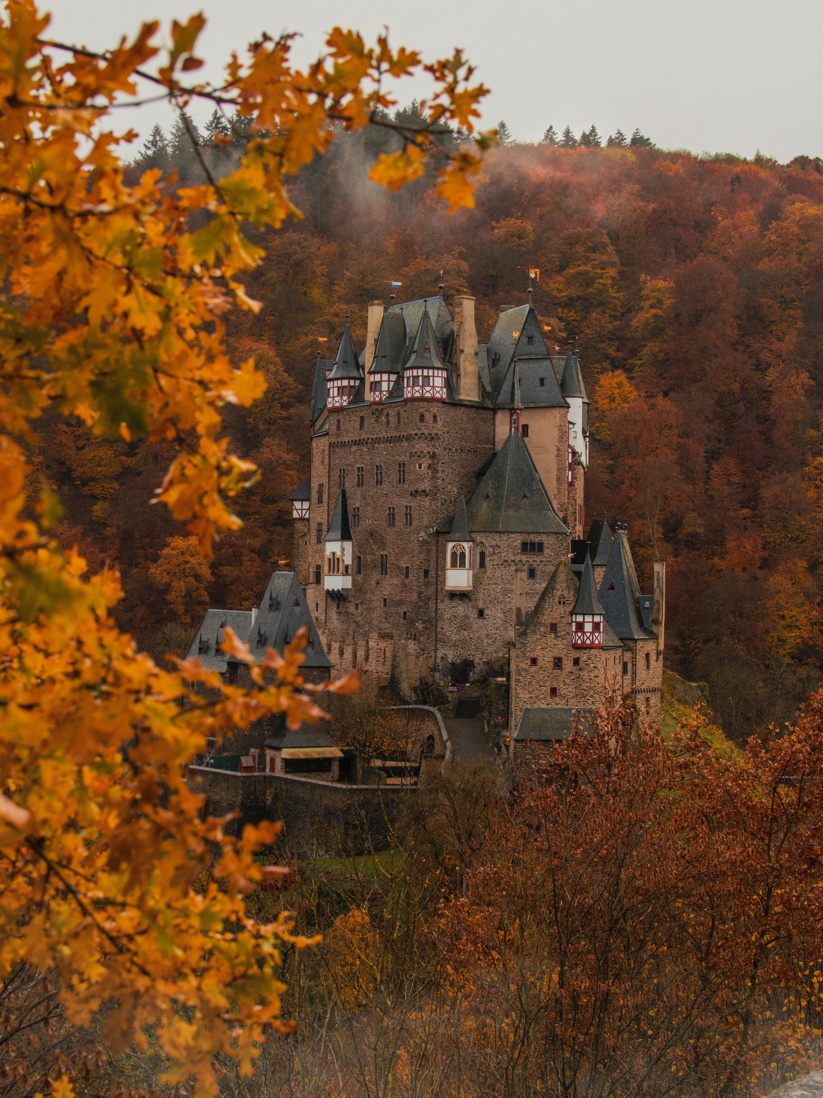 Auf einem hügel steht ein schloss mit einem uhrturm (burg eltz, burg, blatt, baum, herbst)