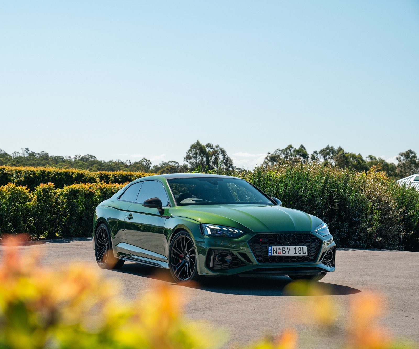 Ein grüner audi rs4, der auf einem parkplatz mit büschen im hintergrund parkt (audi rs 5 coupé, 2020, autos, 4k hintergrund)