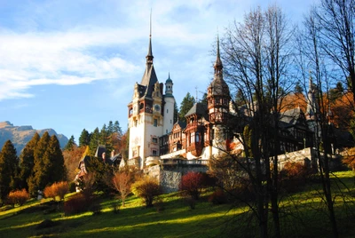 Château de Bran : Un exemple époustouflant d'architecture médiévale entouré par la nature