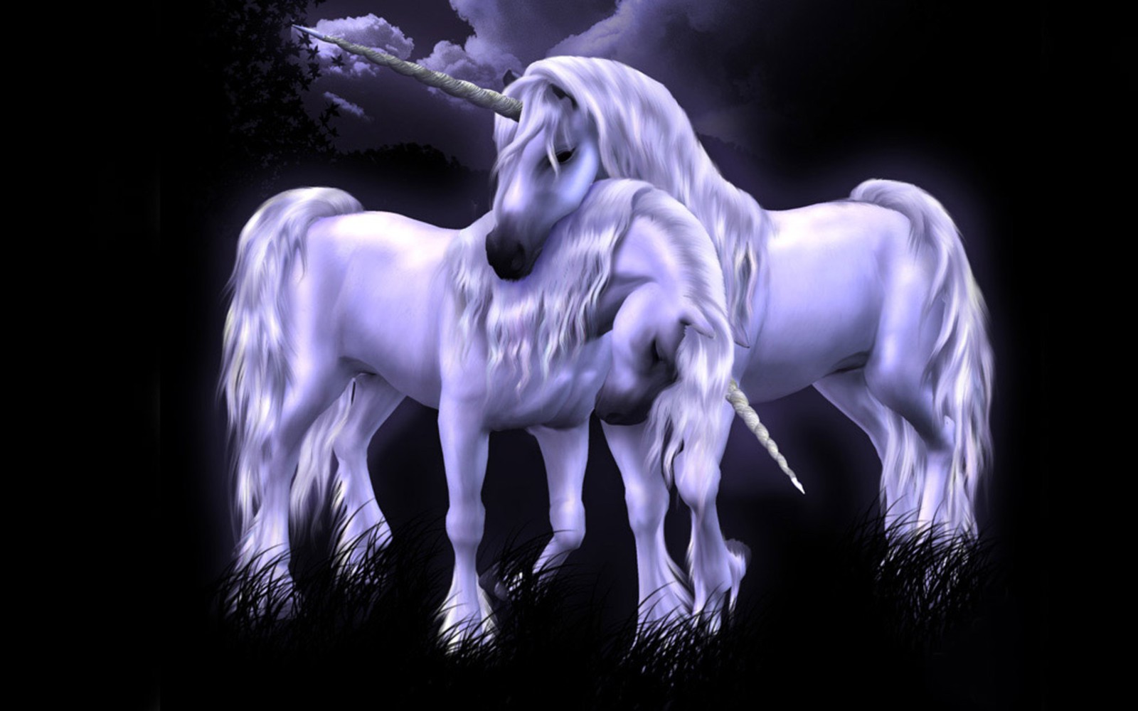 There are two unicorns standing next to each other in the dark (unicorn, horse, mane, mythical creature, darkness)