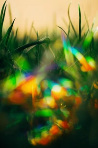 bokeh, verde, luz, cor, folha