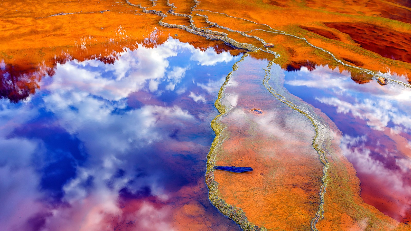 Una vista de un río con un pez azul en él (río rojo, acidic river, río tinto río, reflejos, estética)