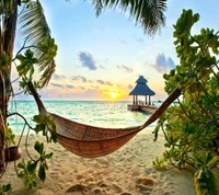 Coucher de soleil sur la plage tropicale avec hamac et cabane