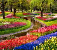 Vibrant Spring Garden with Colorful Flower Beds and Tranquil Stream