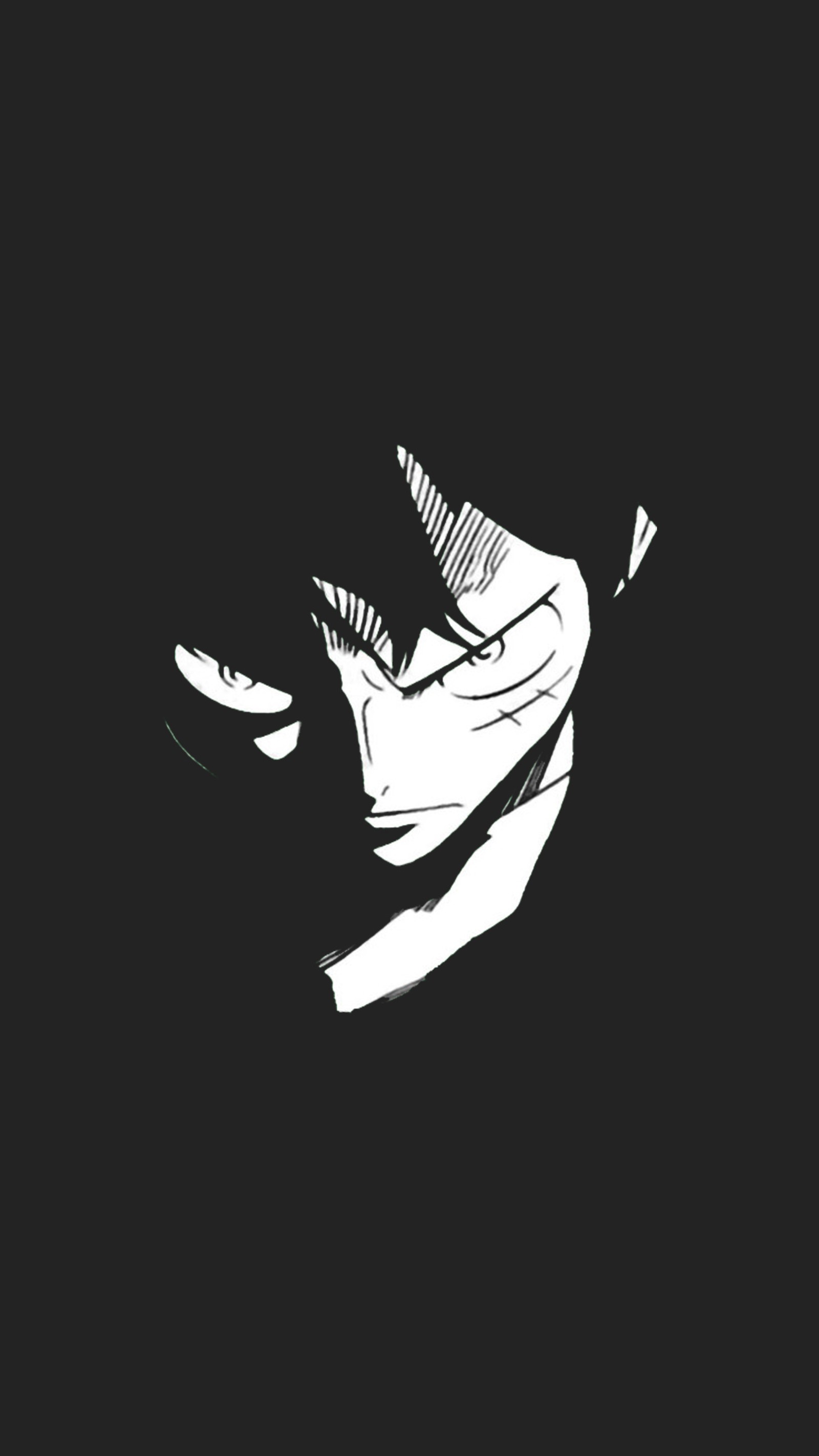 Anime, blanco y negro, arte anime, anime, blanco y negro, anime, (one piece, luffy, zoro, anime, negro)