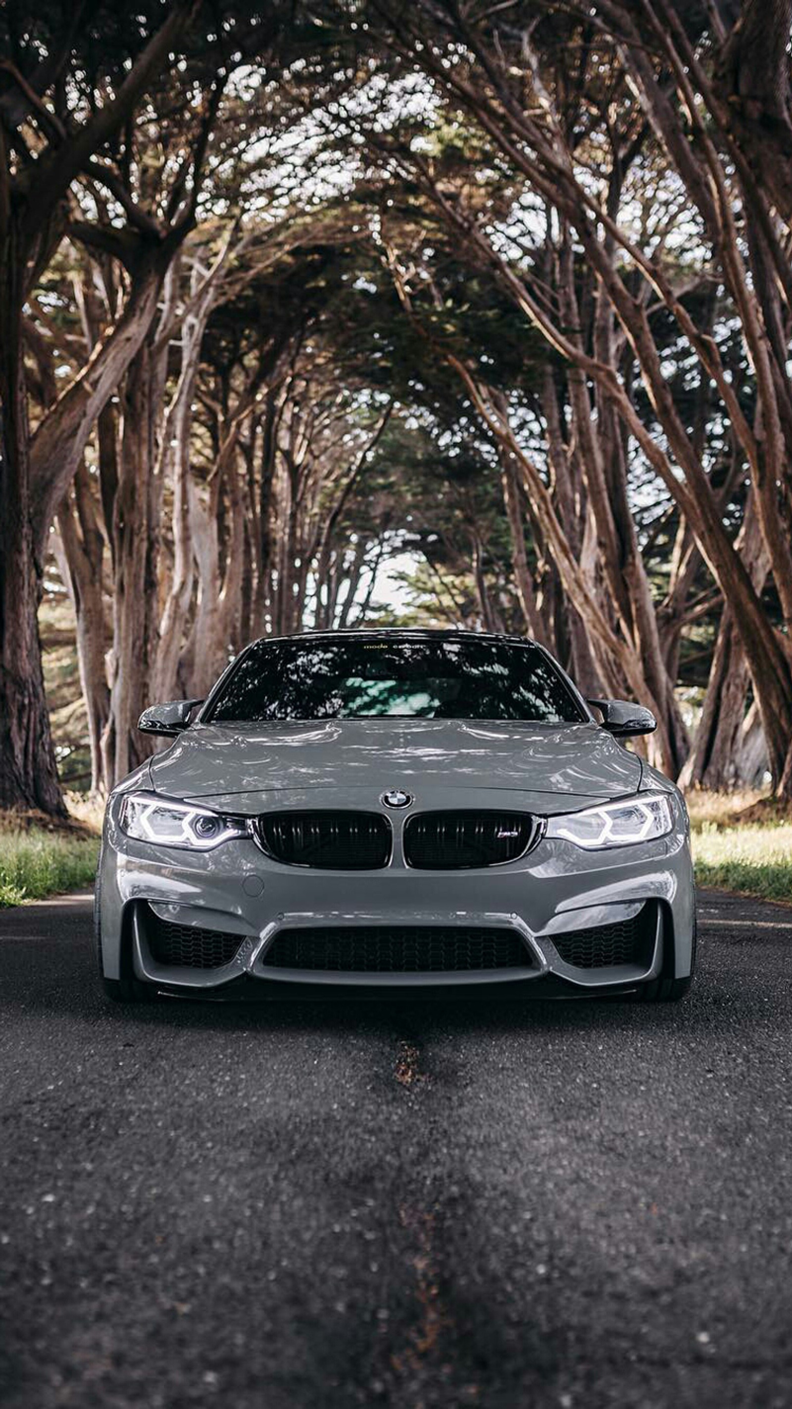 Descargar fondo de pantalla bmw, coche, f80, vista frontal, gris