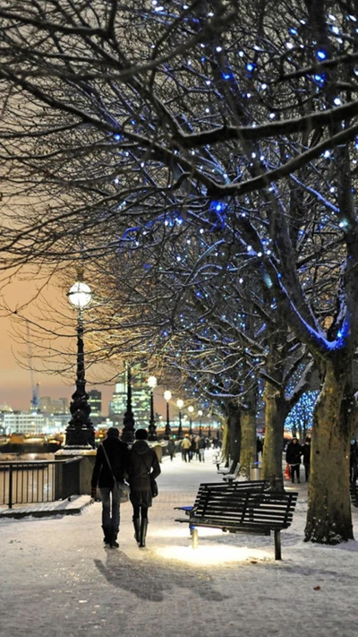 casal apaixonado, snowy night