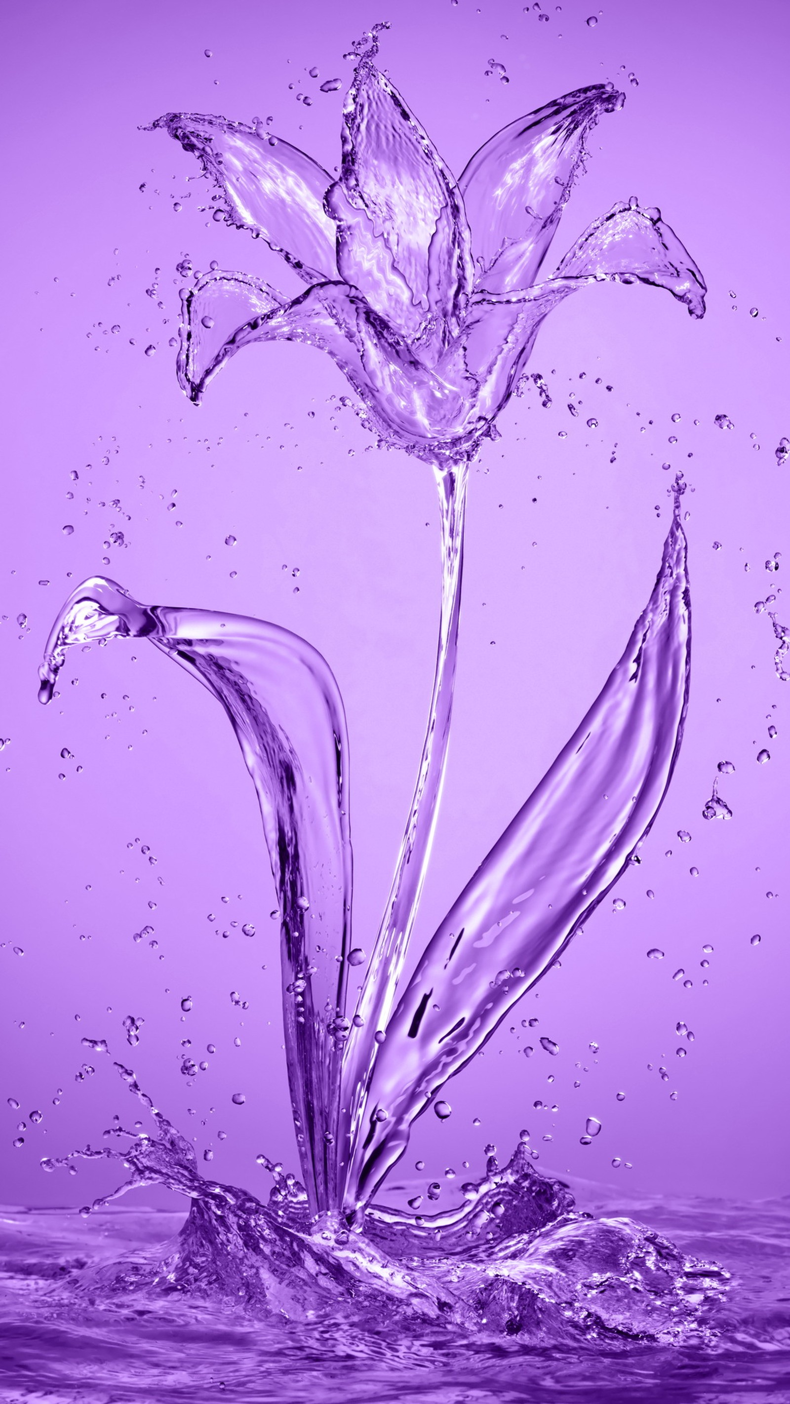 Photographie violette d'une fleur avec des éclaboussures d'eau (abstrait, aqua, art, fleur, eau)