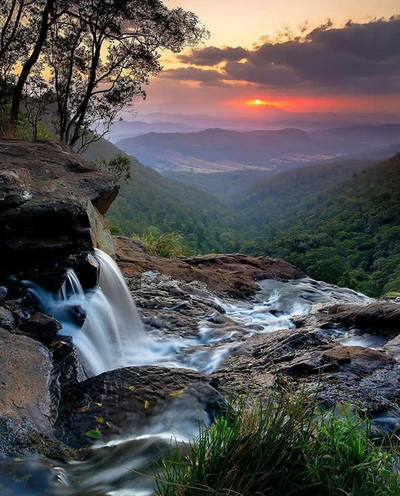 australia, jungle, nature, sunrise, sunset