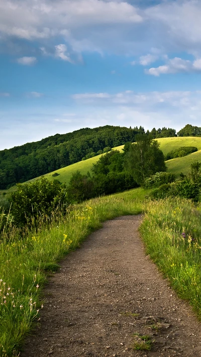 Serene Frühlingslandschaft mit blühendem Weg und üppigen grünen Hügeln