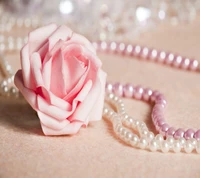 Delicate Pink Rose and Elegant Pearls