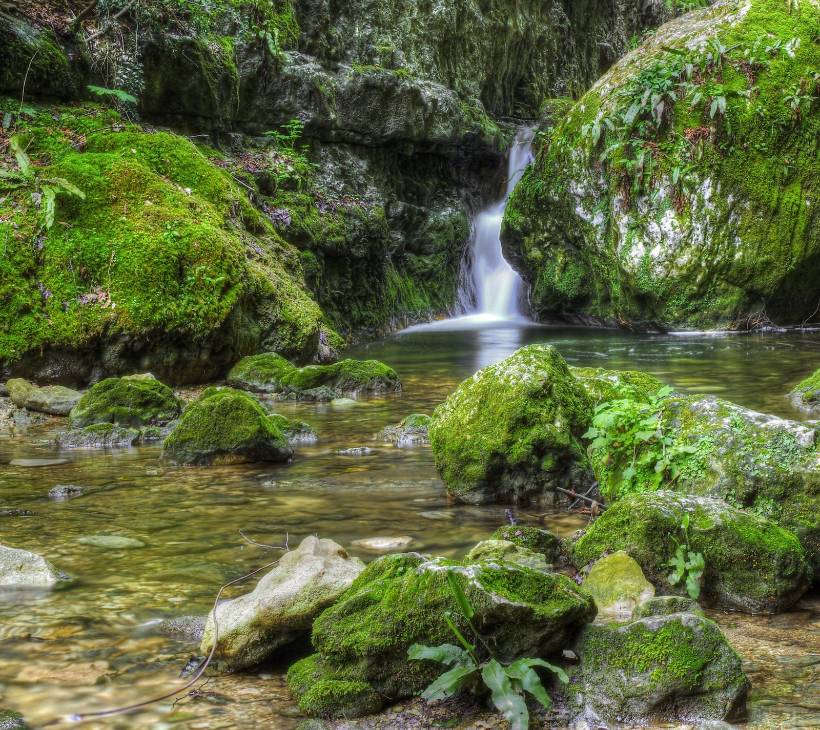 A close up of a waterfall in a forest with mossy rocks (italy, moss, stones, waterfall)