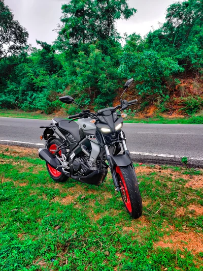 La motocicleta Sleek MT-15 está estacionada junto a una carretera sinuosa en medio de una vegetación exuberante.