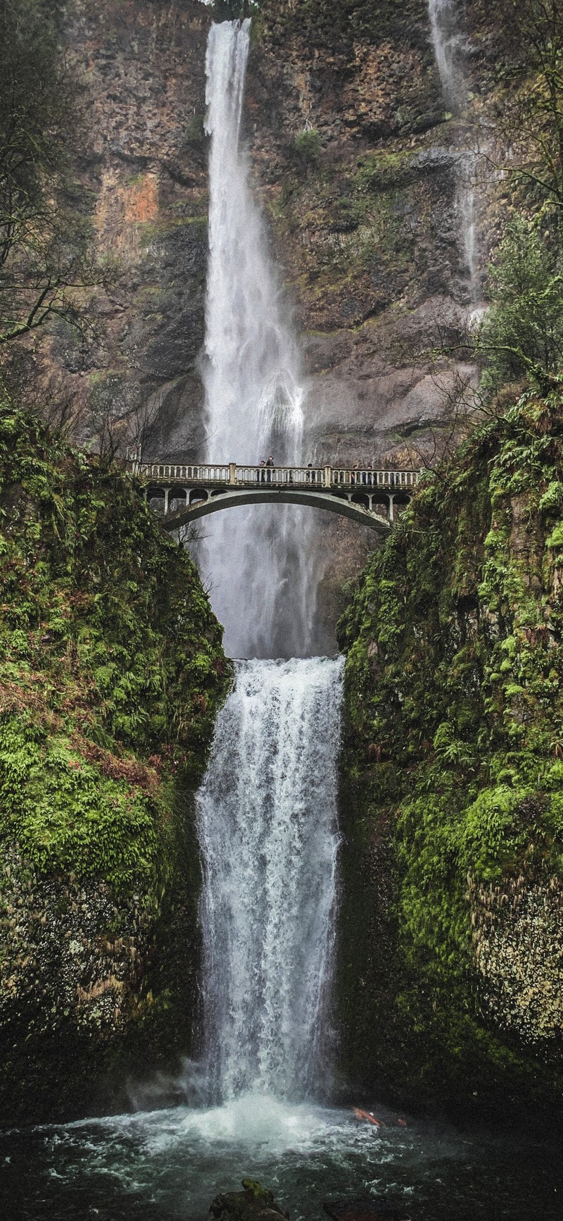 Мост над водопадом с водопадом на заднем плане (водопад мультномах, multnomah falls, водопад, водоток, природа)