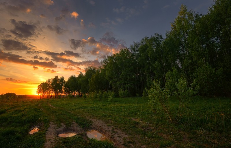 Вид на поле с лужей воды в нем (закат, дерево, природа, облако, вечер)