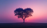 Arbre en forme de cœur silhouetté contre un coucher de soleil rose