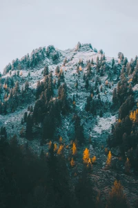 Türkisfarbene Wintergebirgszüge mit goldenen Bäumen und schneebedeckten Abhängen