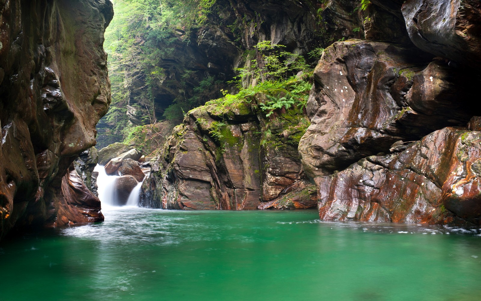 Uma vista de uma cachoeira fluindo por uma floresta verde exuberante (rio de montanha, flúmen, montanha, corpo de água, recursos hídricos)