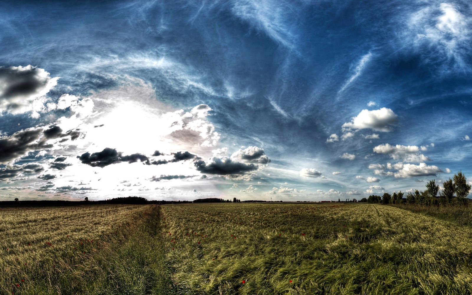 Vue aérienne d'un champ avec un ciel et des nuages en arrière-plan (nuage, nature, horizon, prairie, coucher de soleil)