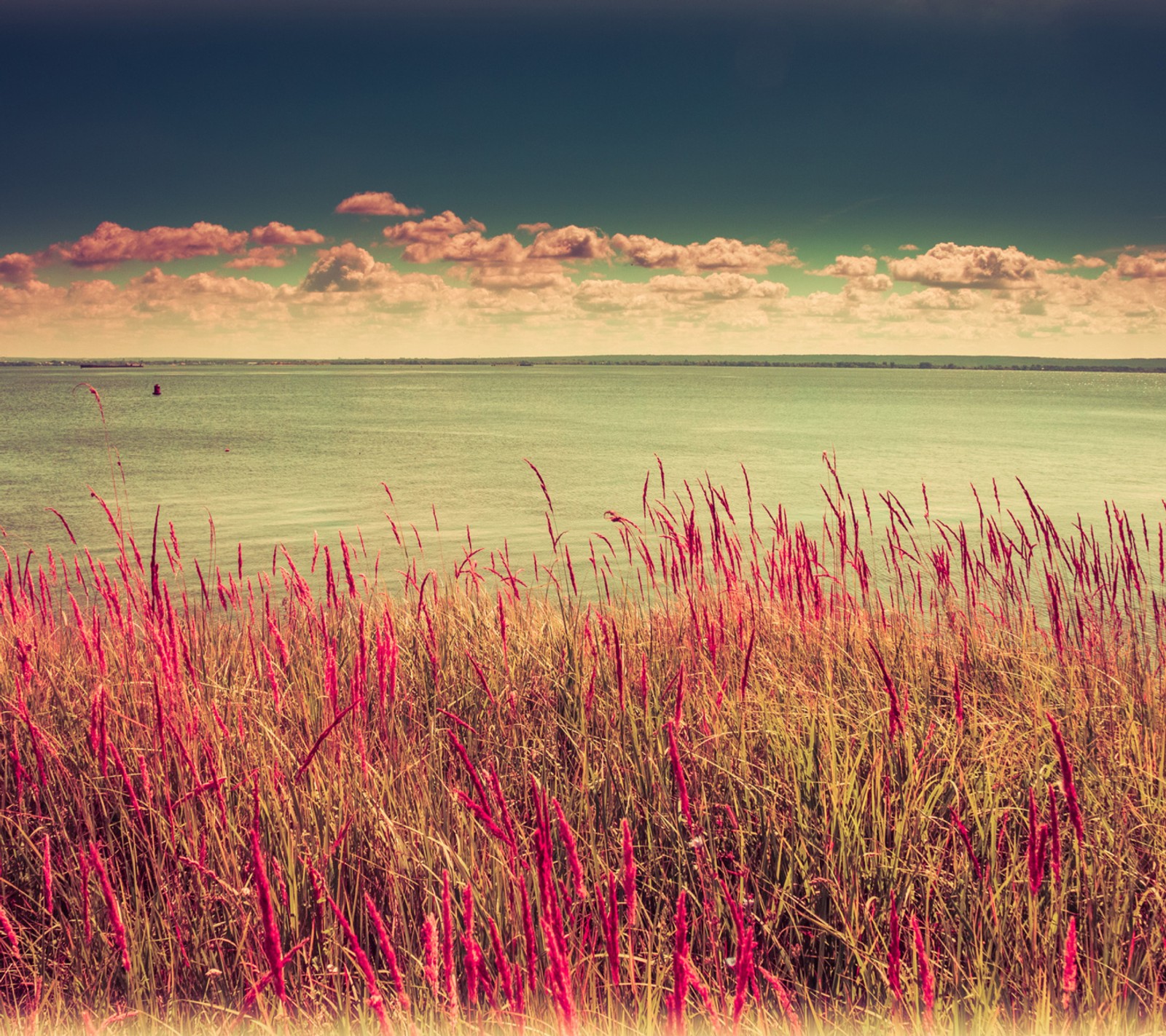 Descargar fondo de pantalla amor, naturaleza