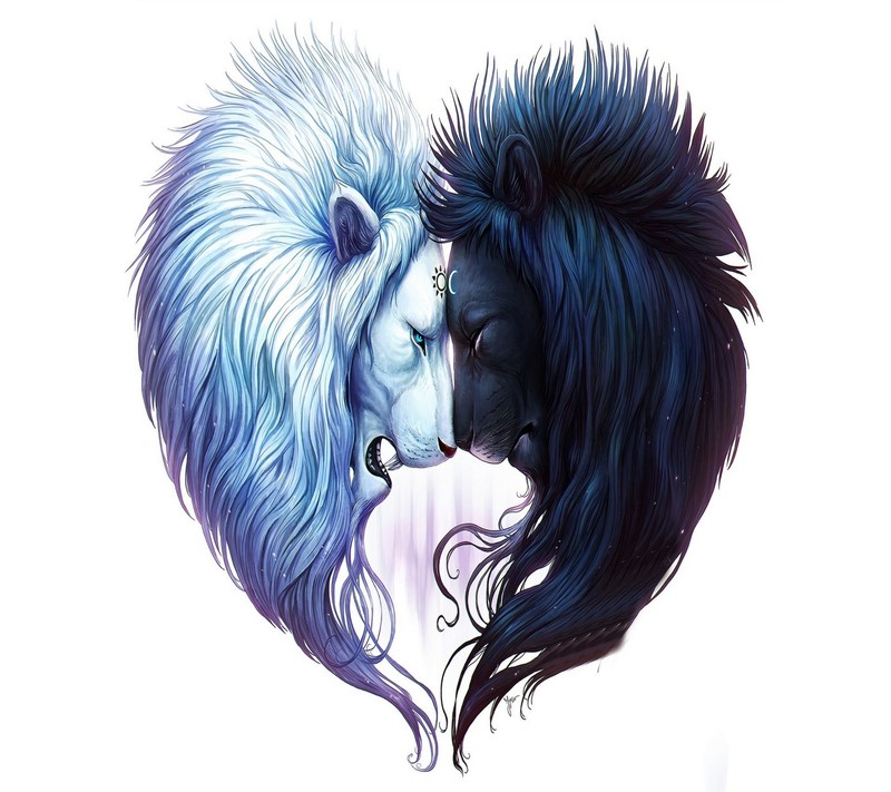 A close up of two horses with long hair and a heart shaped mane (abstract, bad, black, design, fight)