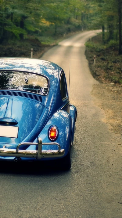 scarabée, bleu, voiture classique, forêt, nouveau