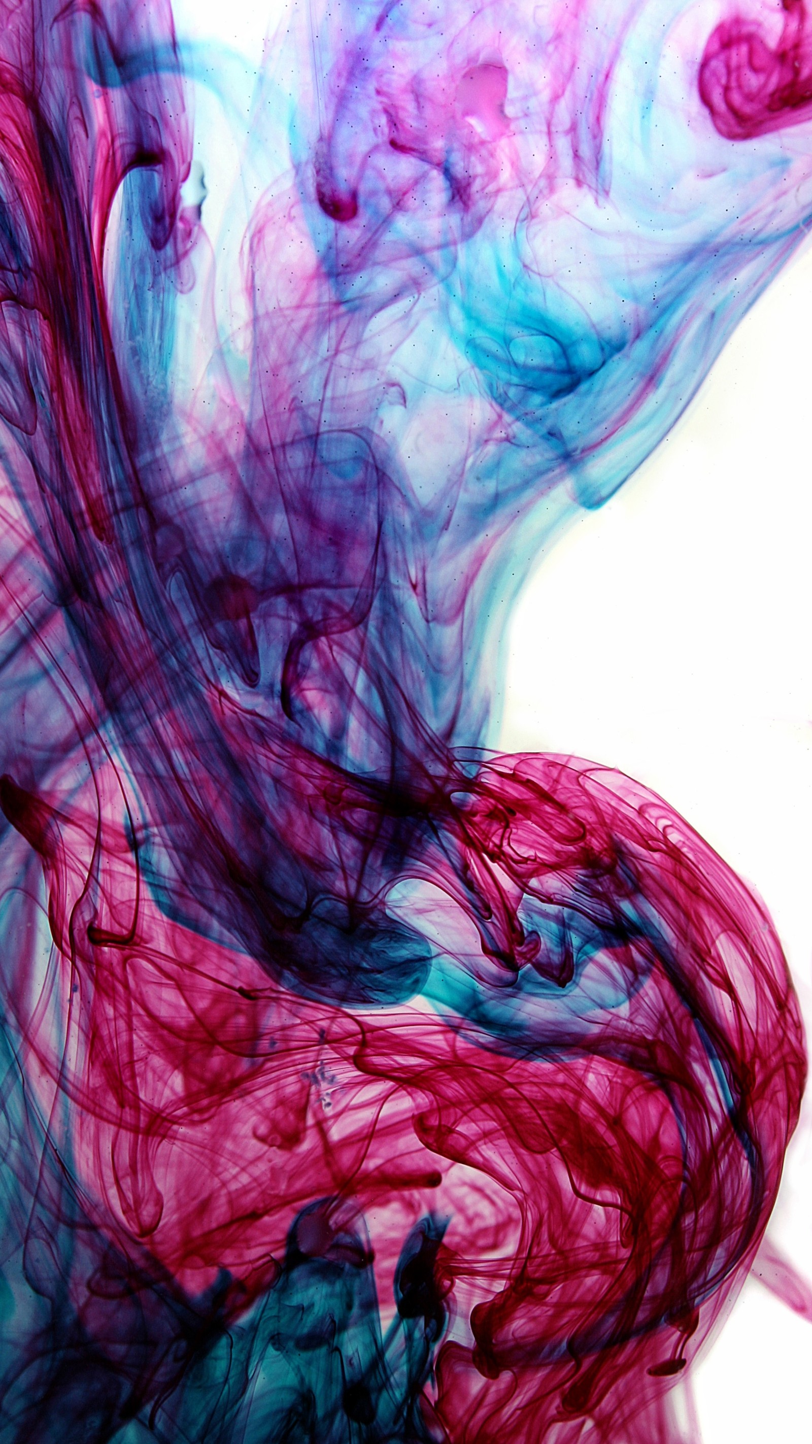 A close up of a red and blue ink substance in water (abstract, art, colorful)