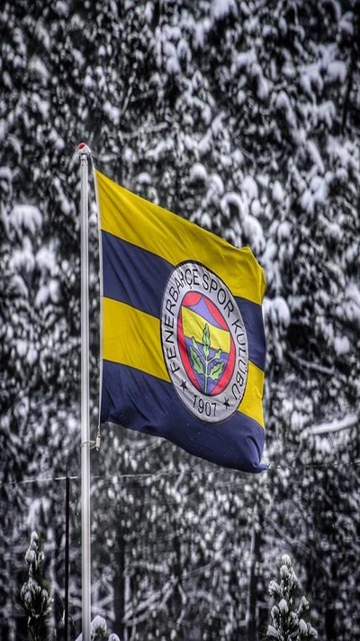 champion, club, fenerbahçe, fenerbahce, fahne