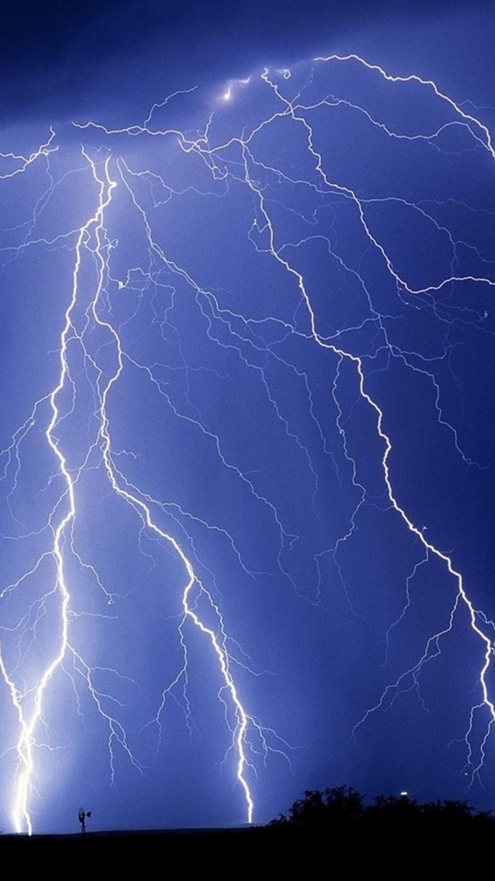 Lightning flashes in the sky over a field with trees (lightning, nature, purple)