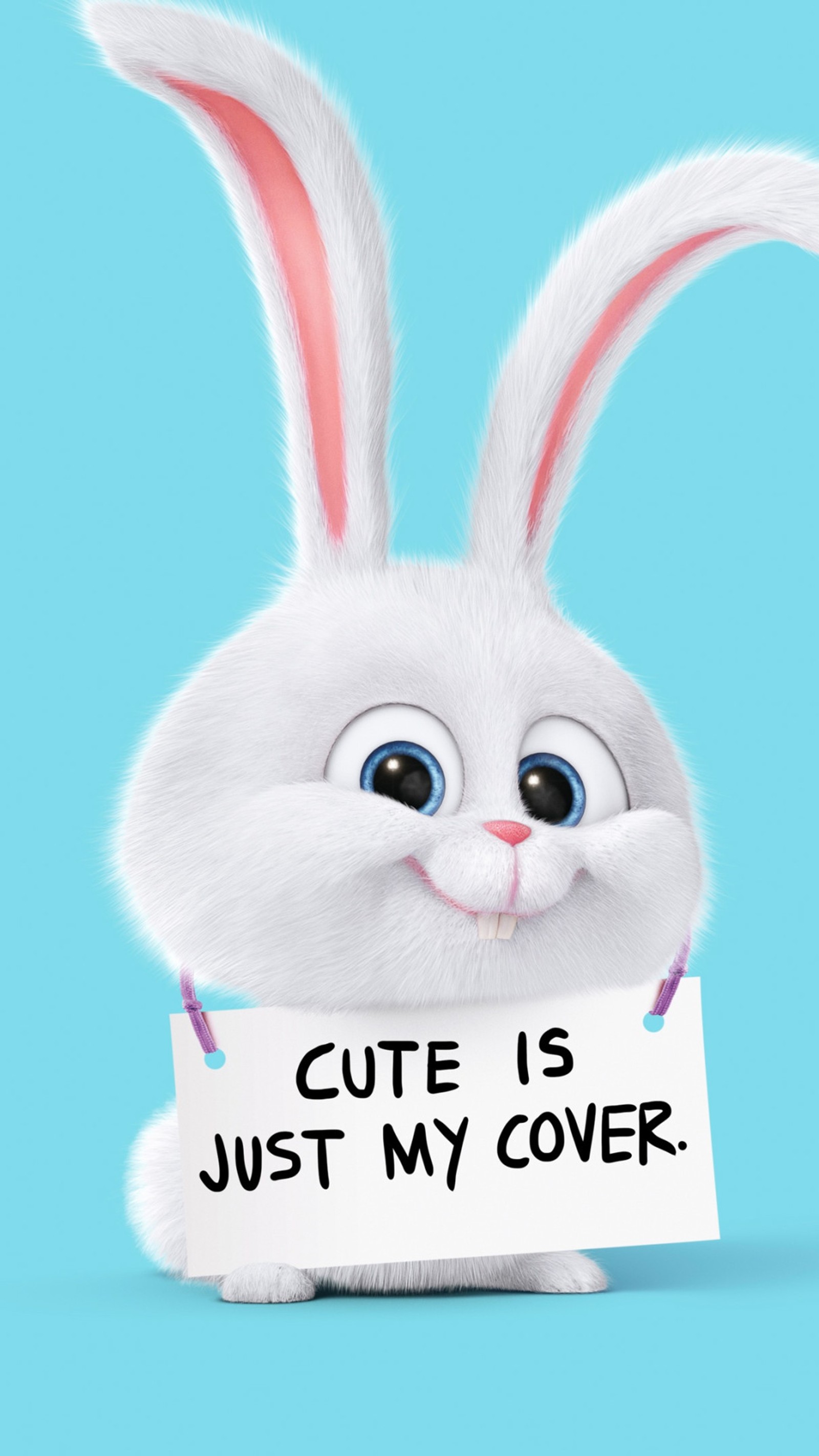 A close up of a rabbit holding a sign with a blue background (cute, danger, photo, rabbit, wallpaper)