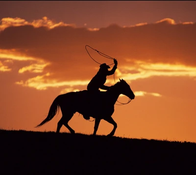 1440x1280, cowboy, pferd, sonnenuntergang, wildleben