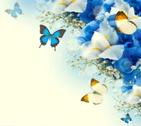 butterfly, floral, flowers wallpaper