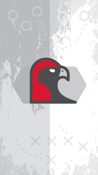 Stylized Falcon Logo on a Sports Background