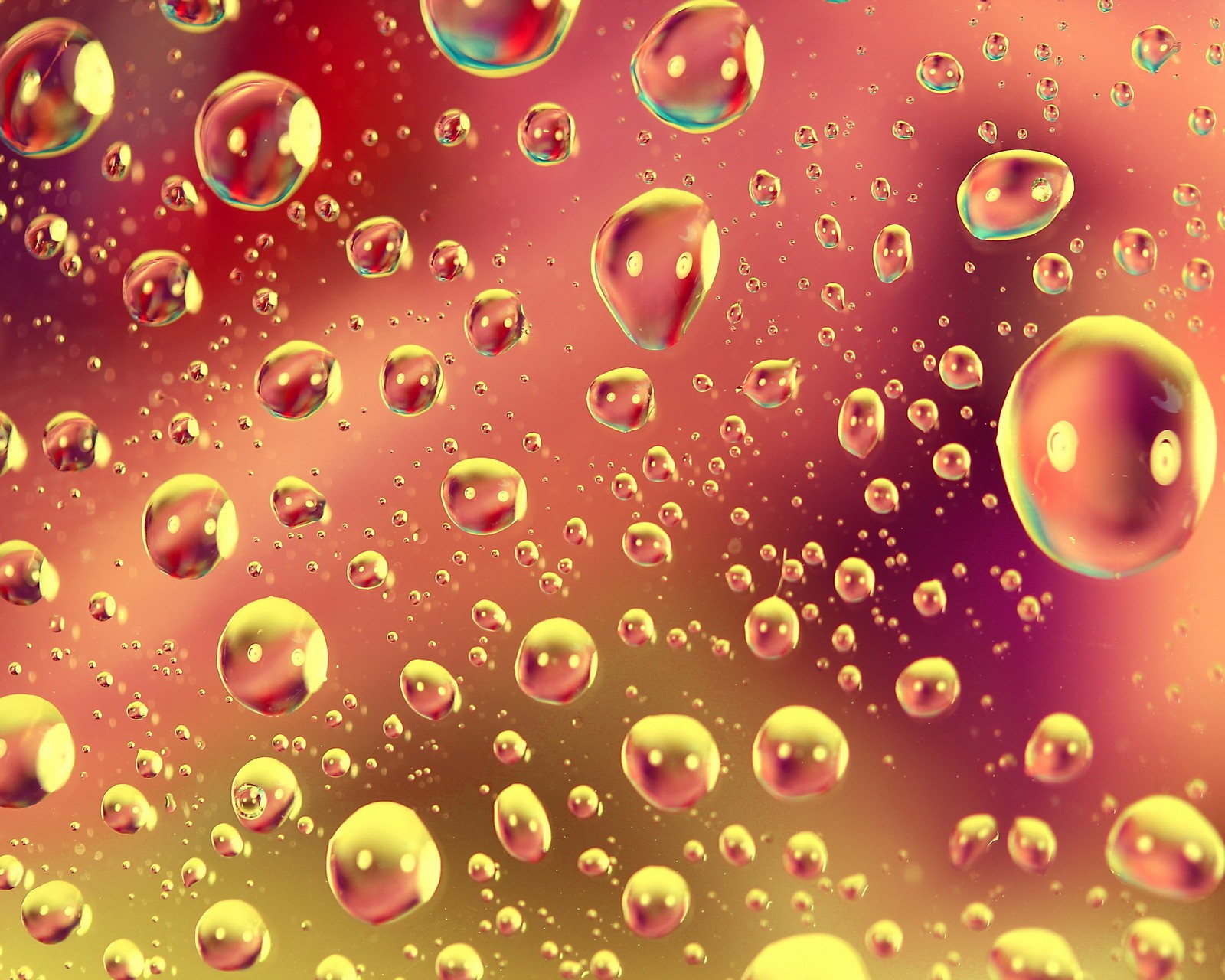 A close up of a bunch of bubbles floating in a glass (after the rain, light, surface, transparency, water drop)