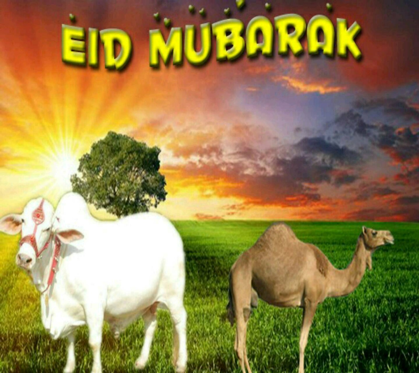 Скачать обои бакра эйд, eid ul azha мубарак, eid ul azha mubarak, holy occasion, мусульмане