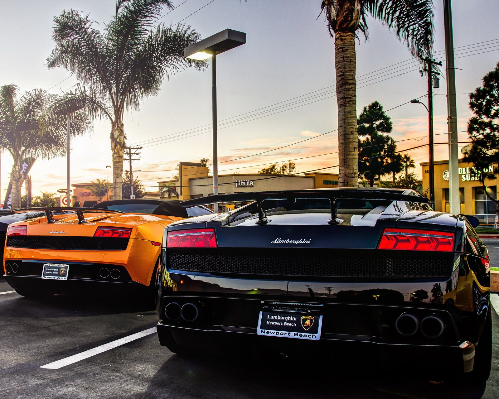 Cordeiros estacionados em um estacionamento com palmeiras (itália, lamborghini)