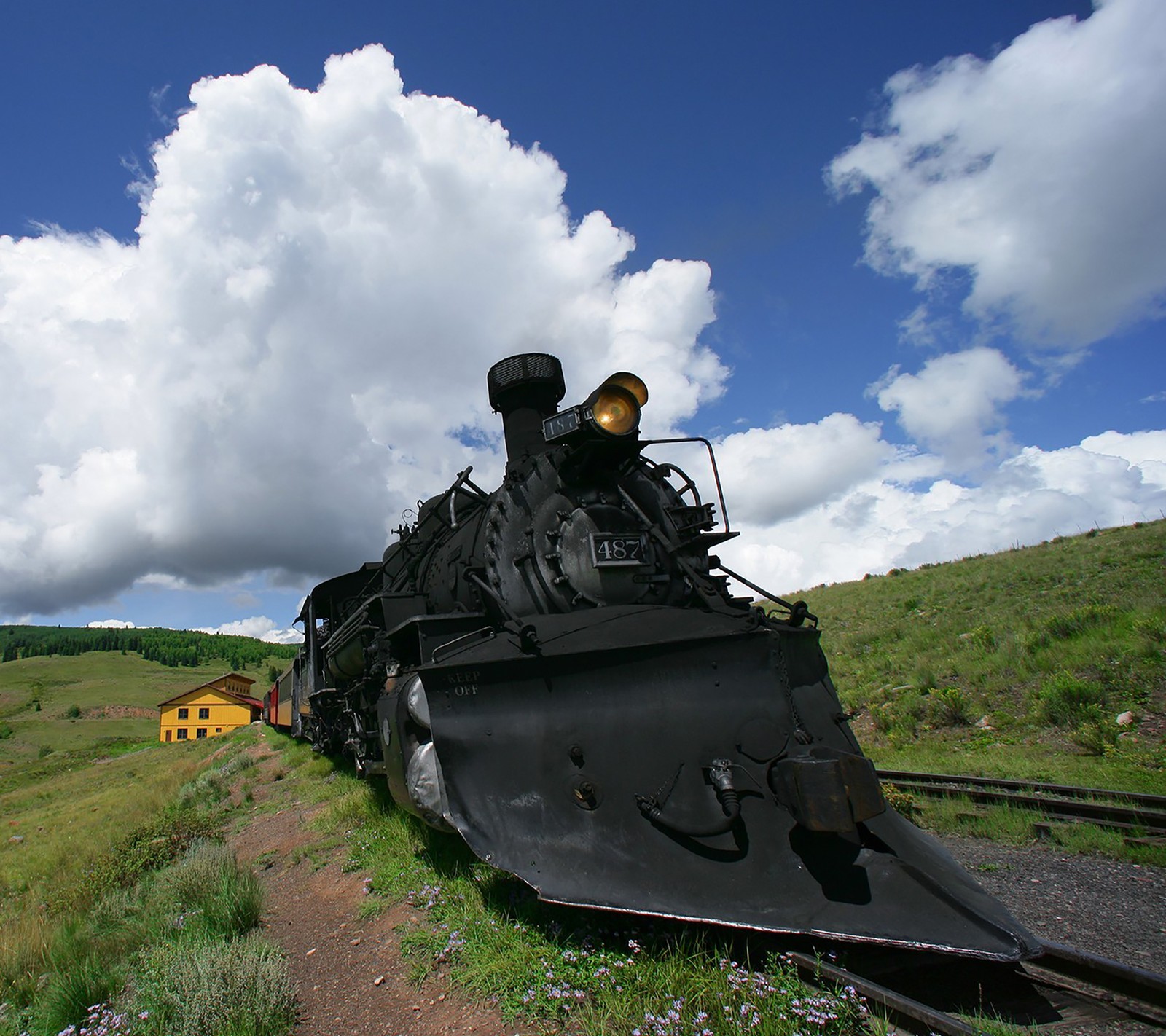 Hay un tren que está en las vías en la hierba (hd, tren)