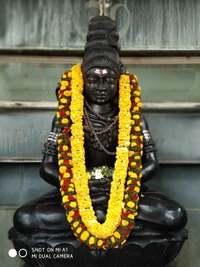 Lord Shiva in Dhyana with Floral Garland