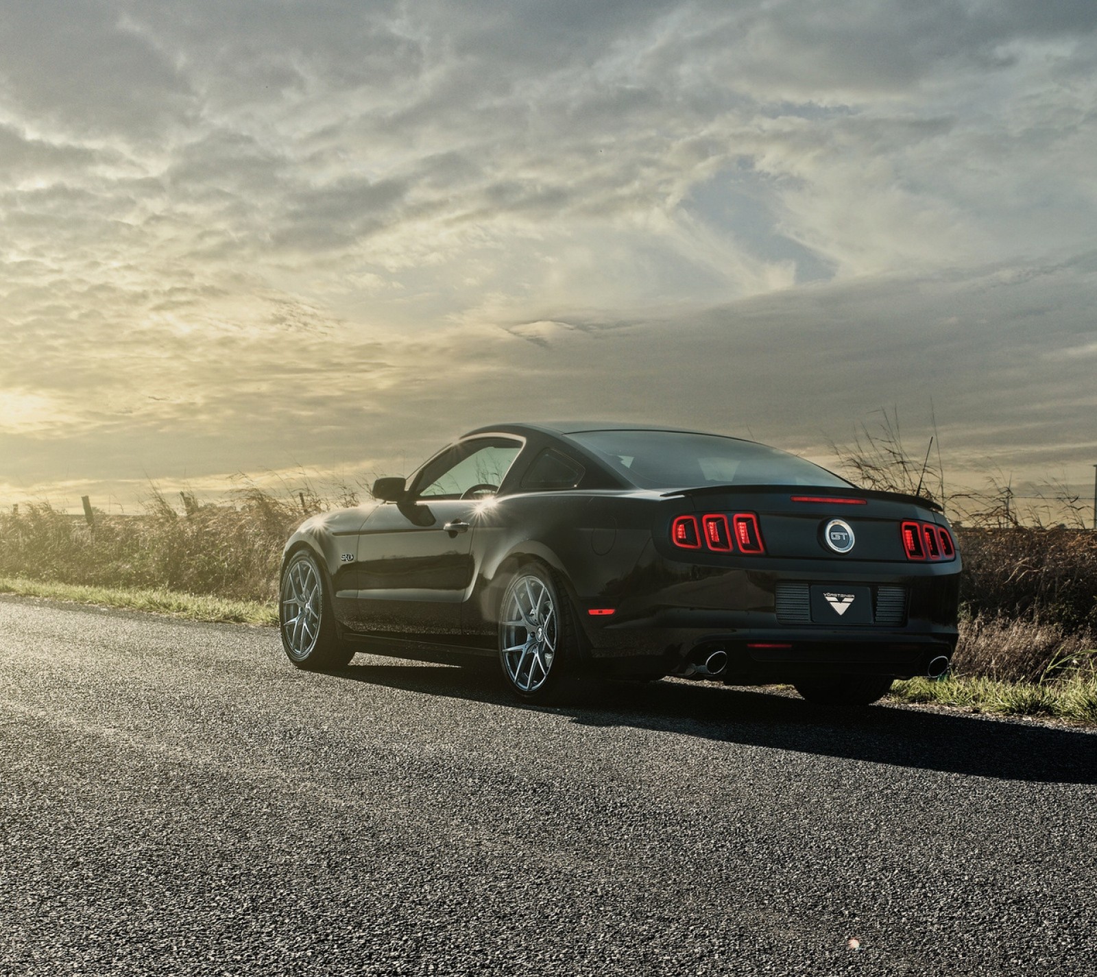 Um close de um mustang preto estacionado na estrada (ford, ford mustang gt, mustang)