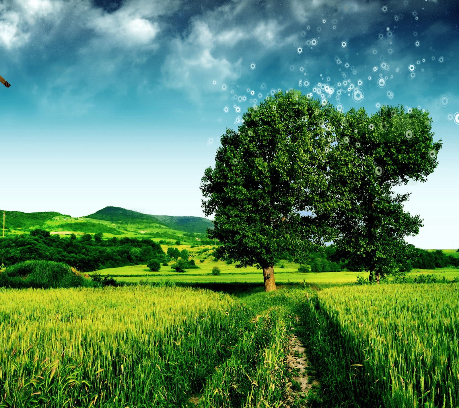 A green field with a tree and a wind turbine in the background (field, trees)