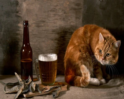 Cat Curiously Eyeing Beer and Dried Fish