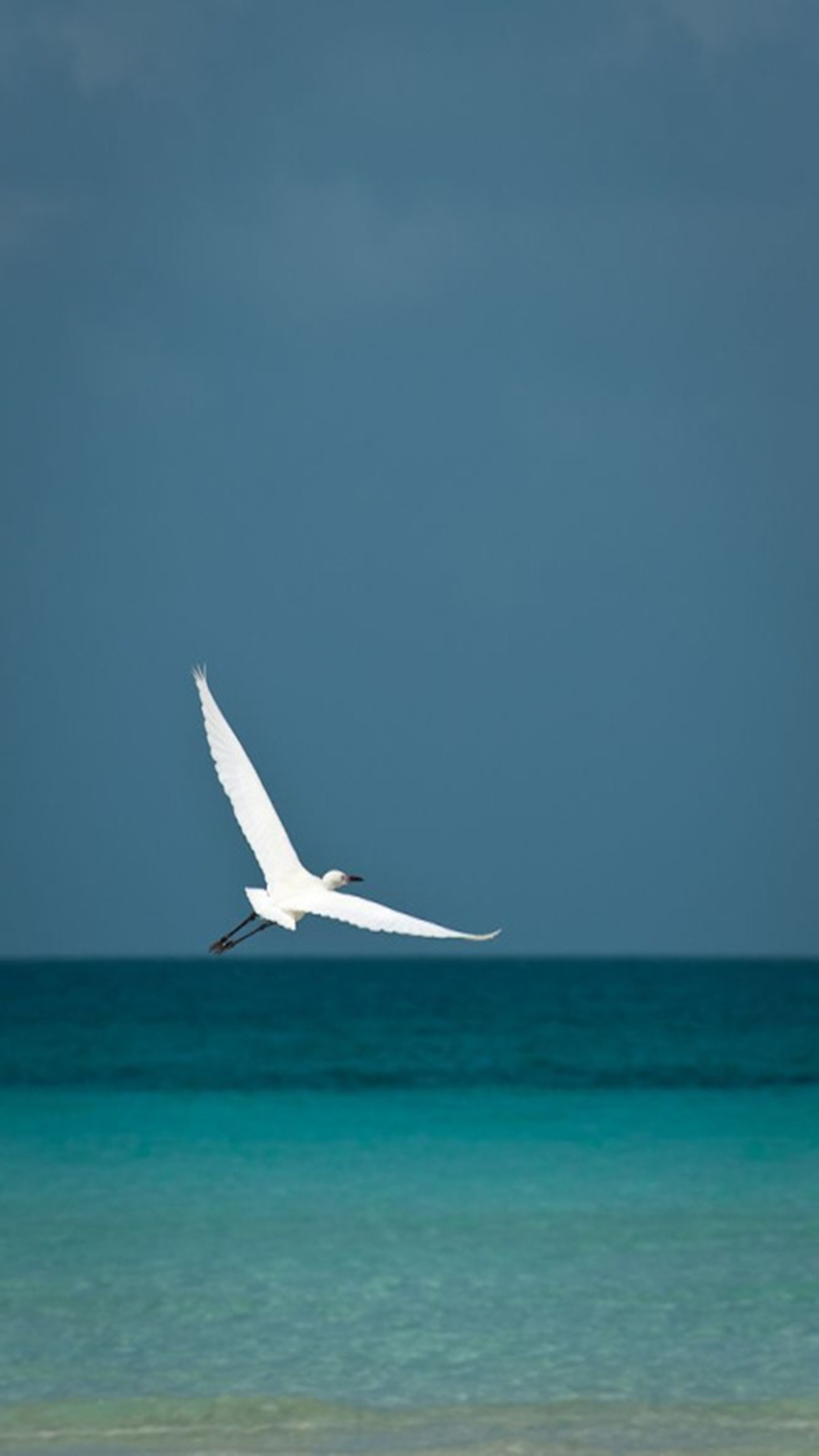 Lade paradies, meer Hintergrund herunter