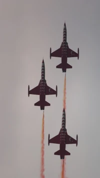 Turkish Stars in Formation: Aerial Display 2017