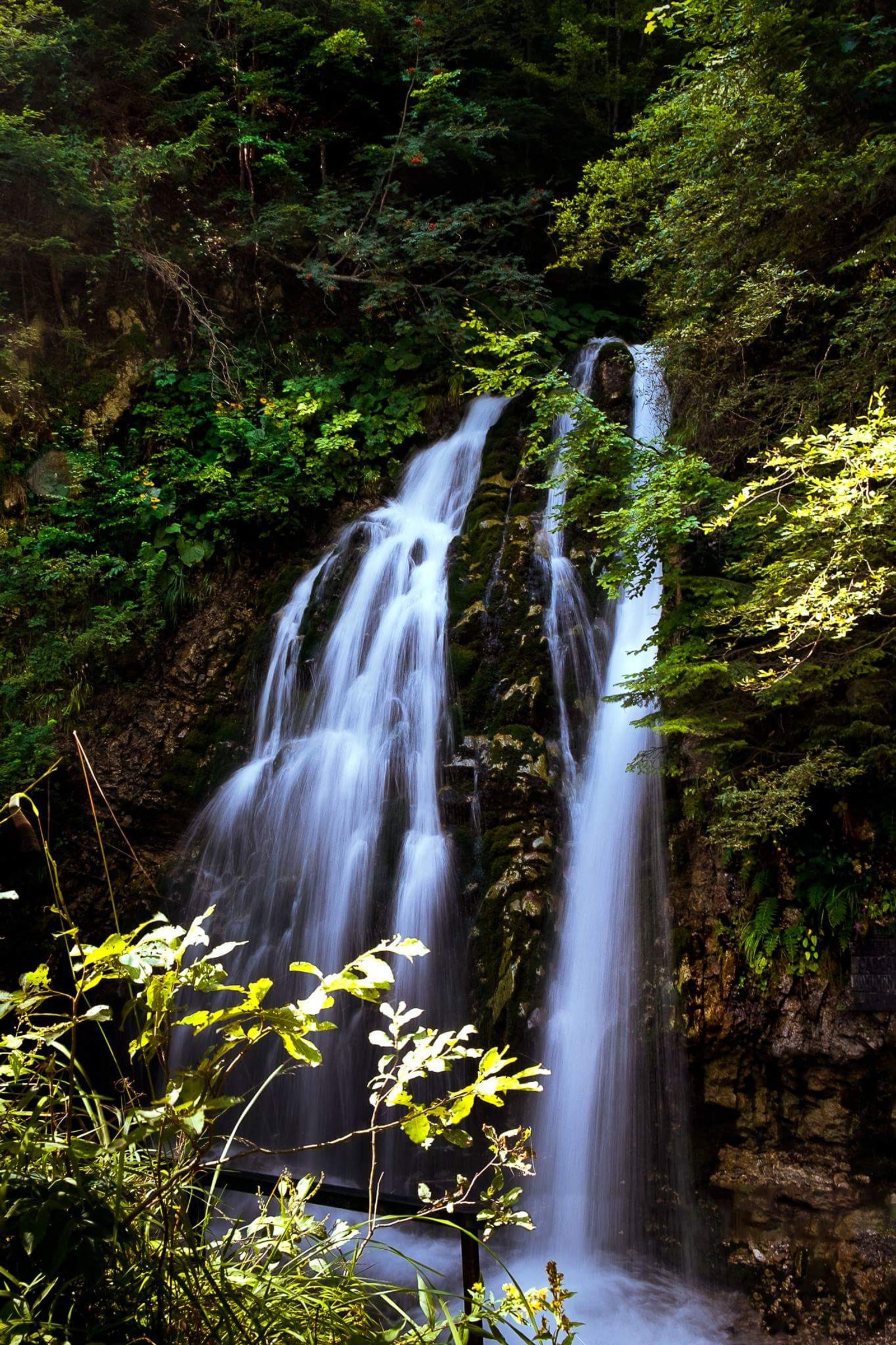 Hay una cascada que fluye por una colina en el bosque (cascada, naturaleza)