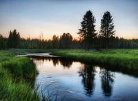 Serene Morgenreflexionen in einem Wildnisfeuchtgebiet