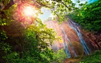 Sunlit Waterfall Amidst Lush Forest Vegetation