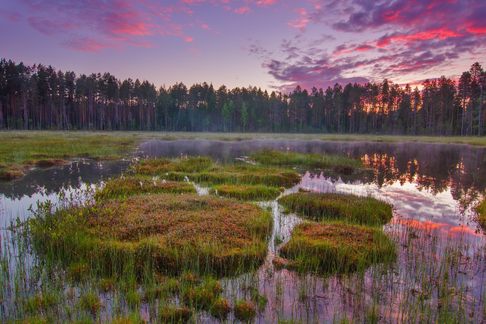 A beautiful sunset over a marshy marshy marshy marshy marshy marshy marshy (nature reserve, nature, reflection, wilderness, wetland)